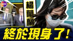 [ID: CceakyN8TVQ] Youtube Automatic