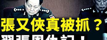 [ID: E0-BCOCRogo] Youtube Automatic