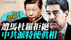 私密：[ID: F54RCCau7v4] Youtube Automatic