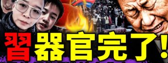 [ID: FEBOKQTj760] Youtube Automatic