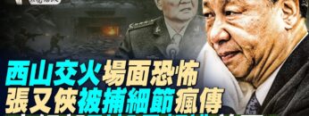 [ID: gp-8HCvhlrc] Youtube Automatic