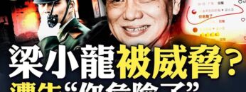 私密：[ID: GxICWkTH6lo] Youtube Automatic