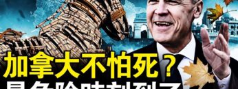 [ID: KZo9mVTR_do] Youtube Automatic