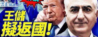 [ID: LDXpPIWNBi0] Youtube Automatic