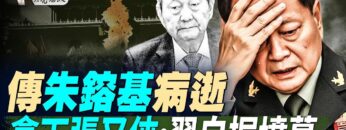 [ID: lkvSP2hfOTE] Youtube Automatic