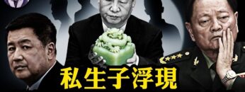 私密：[ID: McCoA1C4XwI] Youtube Automatic