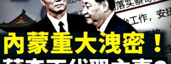 私密：[ID: monwxZrKxYI] Youtube Automatic