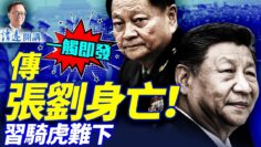 [ID: rwP-wk9XI3U] Youtube Automatic