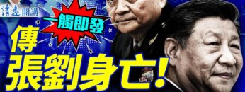 [ID: rwP-wk9XI3U] Youtube Automatic