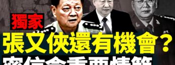 私密：[ID: SzNdosuChK0] Youtube Automatic