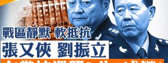 [ID: _tolrGhg-XU] Youtube Automatic