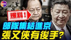 [ID: twUpp7Ocd-4] Youtube Automatic