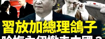 [ID: vT_exZ94QxI] Youtube Automatic