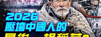 [ID: WBm3d3creNk] Youtube Automatic