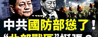 私密：[ID: Wcj4vj3fwn8] Youtube Automatic