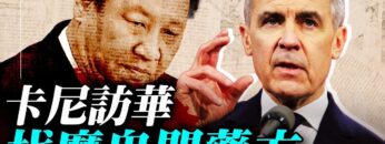 [ID: XXyQmUsk0tU] Youtube Automatic