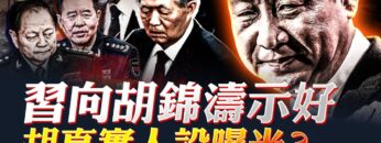 私密：[ID: 1rMoh_ncJSw] Youtube Automatic