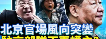 [ID: 21ufE7rUxR0] Youtube Automatic