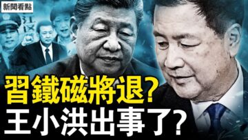 [ID: 23aefog6WZg] Youtube Automatic