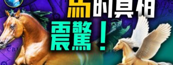 [ID: 2TeApOezZKc] Youtube Automatic