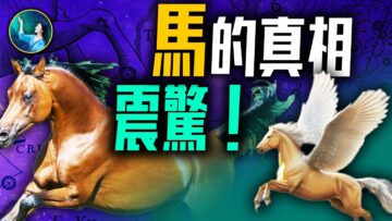 [ID: 2TeApOezZKc] Youtube Automatic