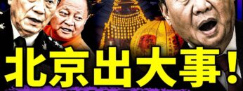 [ID: 3NS32aIHvwo] Youtube Automatic