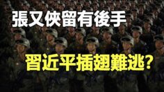 [ID: 4XkDNgGP9Ck] Youtube Automatic