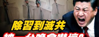 [ID: 66d56fv0ahw] Youtube Automatic