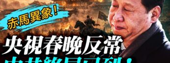 私密：[ID: 6OsDZFY2qRo] Youtube Automatic