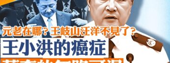 [ID: 7GW33TFDAZ0] Youtube Automatic