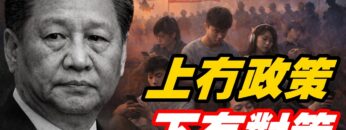 [ID: ATJP3CFWJ14] Youtube Automatic