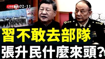 [ID: cCtShv3YiTM] Youtube Automatic