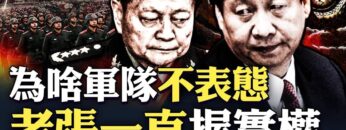 私密：[ID: CK4wOIbefVE] Youtube Automatic