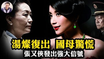 私密：[ID: D8mfyDJHxwY] Youtube Automatic