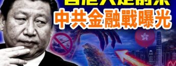 [ID: DBQ5P9_vlq4] Youtube Automatic