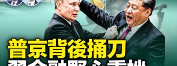 [ID: DUIBtUaVv0s] Youtube Automatic