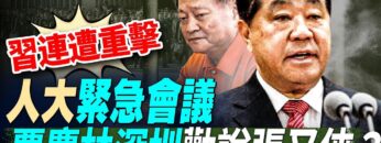 [ID: Hc8_A_S82Mk] Youtube Automatic