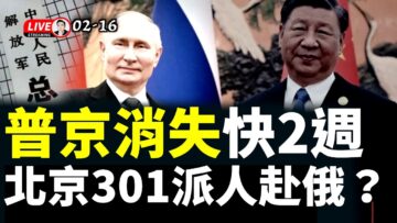 [ID: Hq3NC9NWyOU] Youtube Automatic