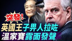 [ID: iJGAtlR0ifQ] Youtube Automatic