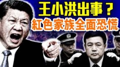 [ID: Ir8aINKGqEI] Youtube Automatic