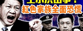 [ID: Ir8aINKGqEI] Youtube Automatic