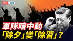 [ID: IWvExS12Bzo] Youtube Automatic