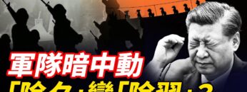 [ID: IWvExS12Bzo] Youtube Automatic