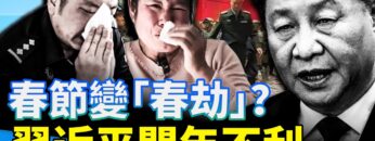 [ID: JCnyanFpu5A] Youtube Automatic