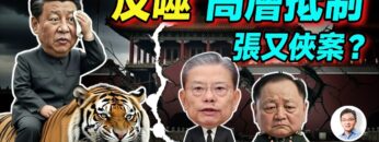 [ID: JM_8xRu9sxY] Youtube Automatic