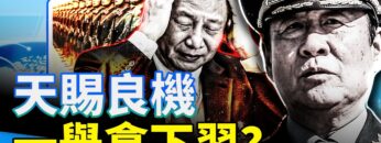 [ID: k_nZ8VG4WXg] Youtube Automatic