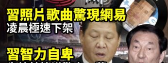 [ID: KUojHpMXN2g] Youtube Automatic