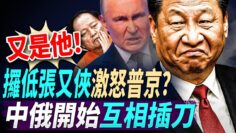 [ID: l-ZXTZQAZGs] Youtube Automatic