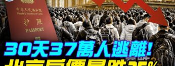 [ID: lFoI8w0Mt1s] Youtube Automatic