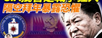 [ID: _LHmcUFm0-8] Youtube Automatic